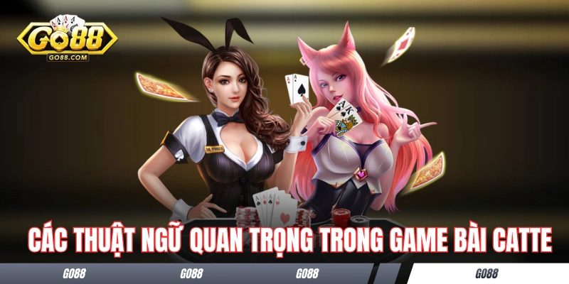 Các thuật ngữ quan trọng trong một ván bài Catte 